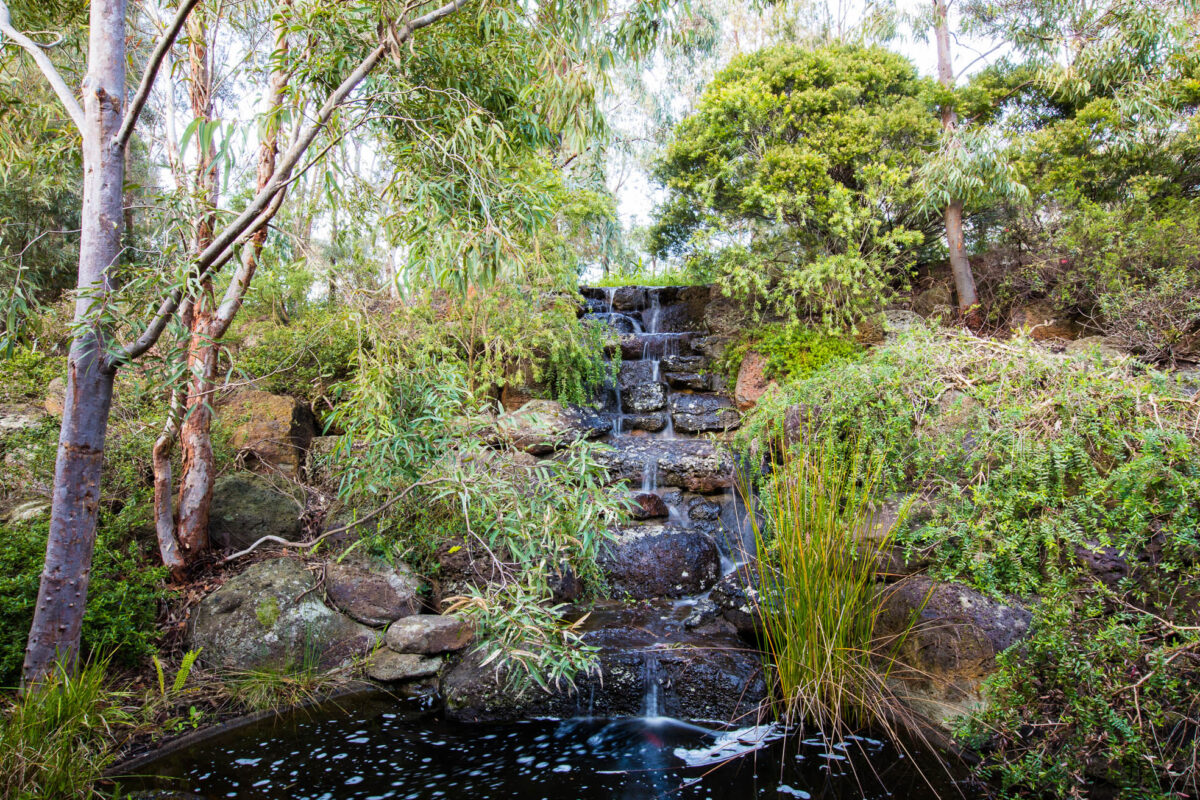 Wattle Glen — Sam Cox Landscape